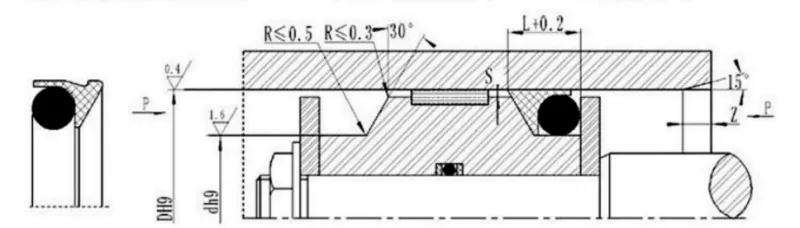 Bore Foot Type Combined Seal