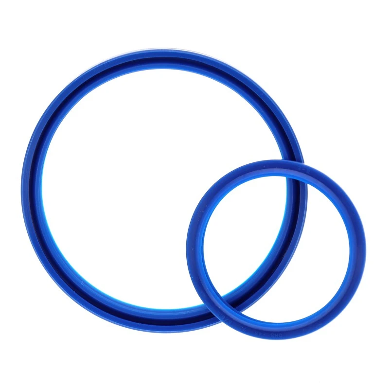 Valytuvo sandariklis DHS